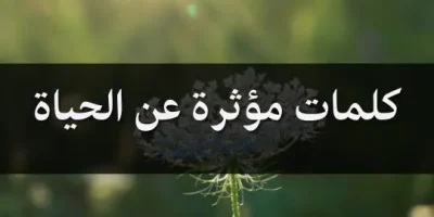 كلمات مؤثرة عن الحياة