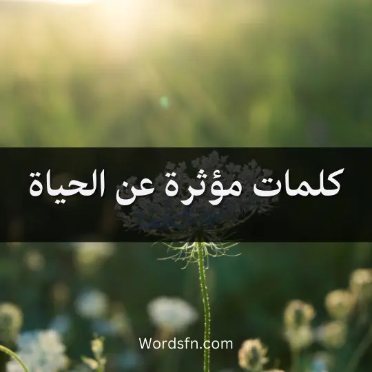 كلمات مؤثرة عن الحياة