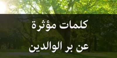 كلمات مؤثرة عن بر الوالدين