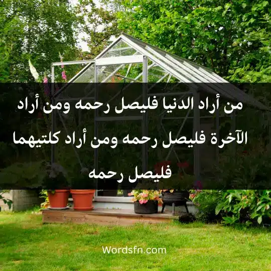 Touching words about parents 1 - فن العبارات من أراد الدنيا فليصل رحمه، ومن أراد الآخرة فليصل رحمه، ومن أراد كلتيهما فليصل رحمه