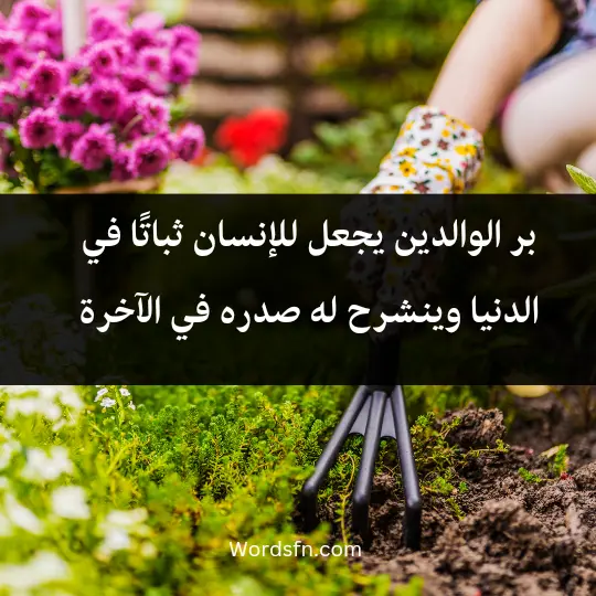 Touching words about parents 2 - فن العبارات بر الوالدين يجعل للإنسان ثباتًا في الدنيا وينشرح له صدره في الآخرة