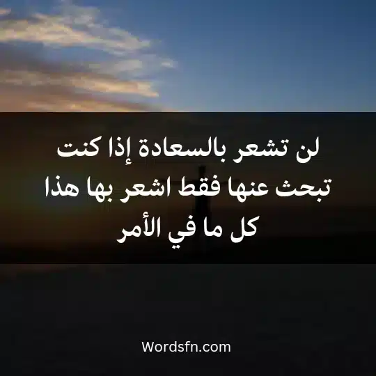 لن تشعر بالسعادة إذا كنت تبحث عنها فقط اشعر بها هذا كل ما في الأمر
