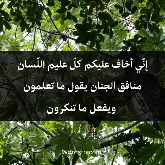 إنّي أخاف عليكم كلّ عليم اللّسان منافق الجنان، يقول ما تعلمون ويفعل ما تنكرون