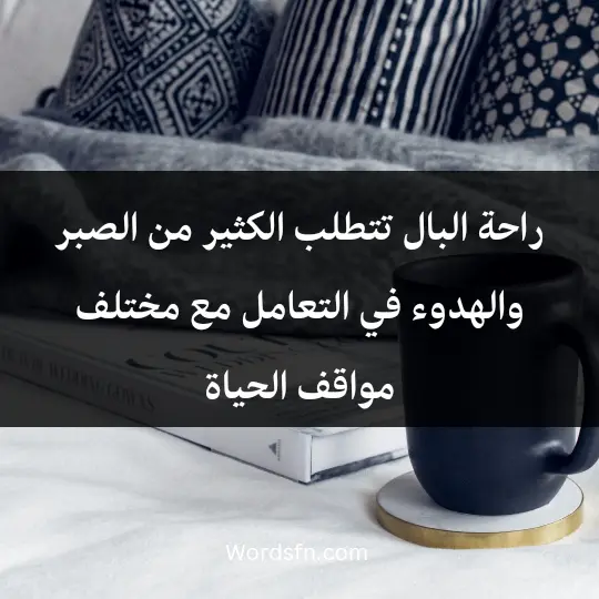 Words about peace of mind1 - فن العبارات راحة البال تتطلب الكثير من الصبر والهدوء في التعامل مع مختلف مواقف الحياة.