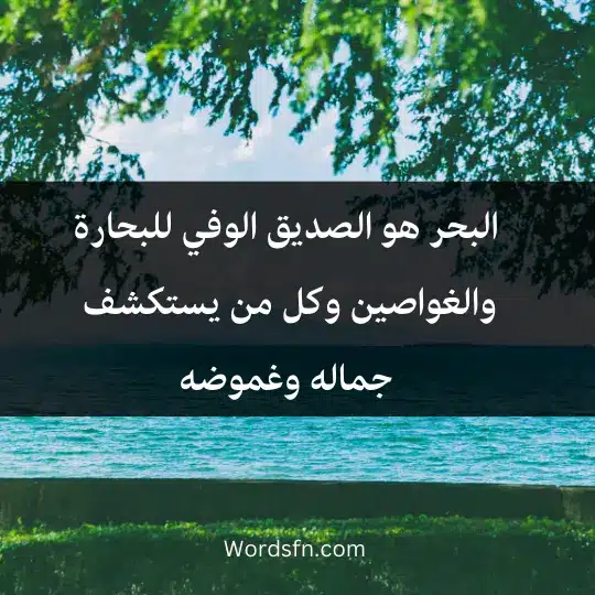 البحر هو الصديق الوفي للبحارة والغواصين وكل من يستكشف جماله وغموضه