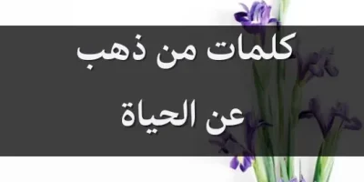 كلمات من ذهب عن الحياة