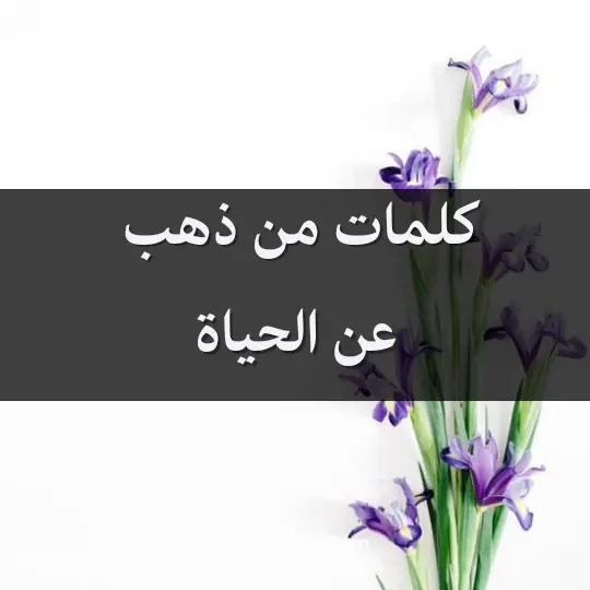 كلمات من ذهب عن الحياة