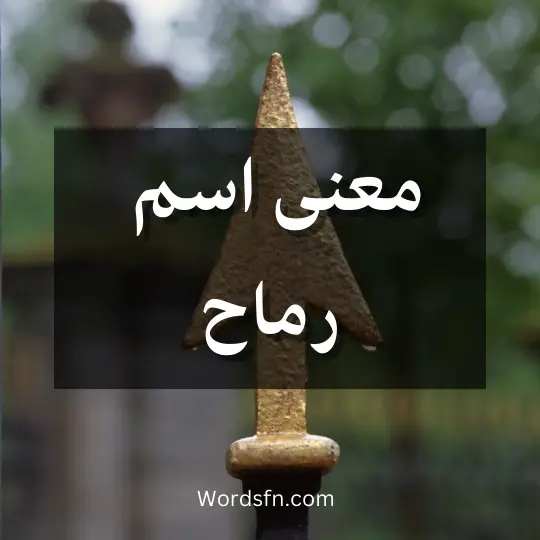 معنى اسم رماح