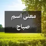 معنى اسم صباح