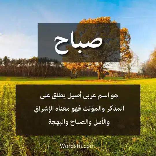 هو اسم عربى أصيل يطلق على المذكر والمؤنث فهو معناه الإشراق والأمل والصباح والبهجة