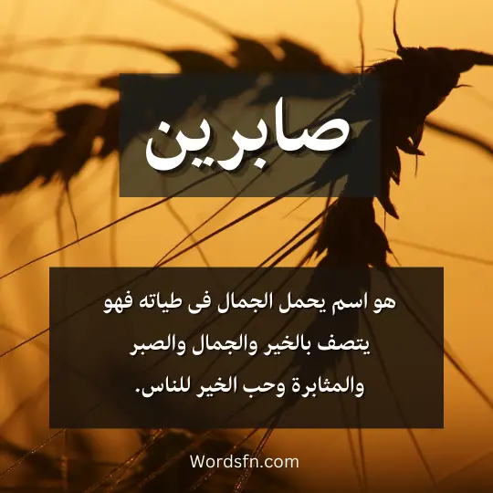 هو اسم يحمل الجمال فى طياته فهو يتصف بالخير والجمال والصبر والمثابرة وحب الخير للناس.