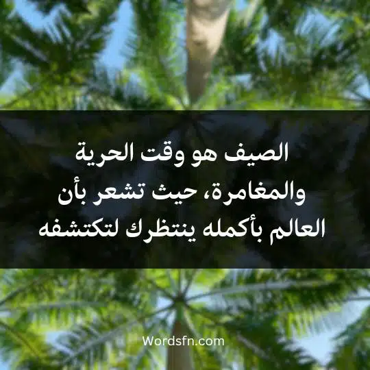 phrases-about-summer 3 - فن العبارات الصيف هو وقت الحرية والمغامرة، حيث تشعر بأن العالم بأكمله ينتظرك لتكتشفه