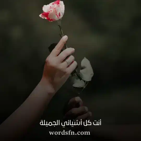 أنت كل أشيائي الجميلة - فن العبارات أنت كل أشيائي الجميلة حالات واتس قصيرة