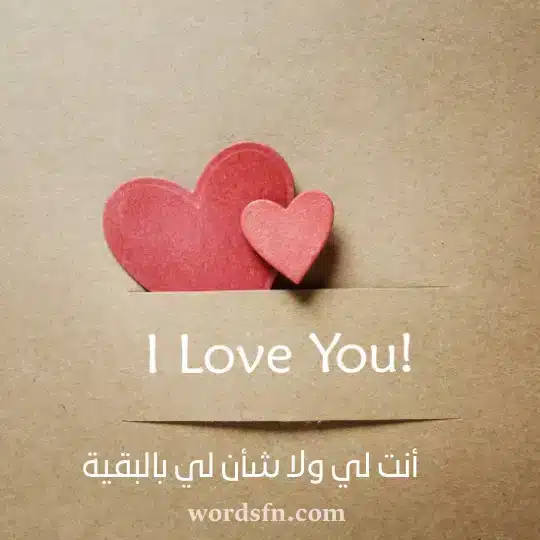 أنت لي ولا شأن لي بالبقية - فن العبارات أنت لي ولا شأن لي بالبقية حالات بنات