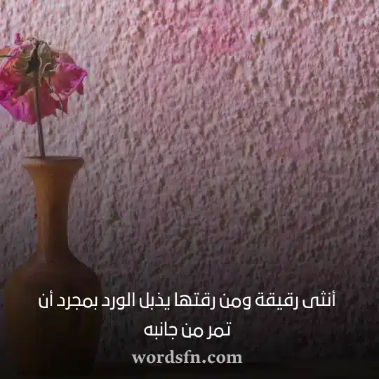 أنثى رقيقة ومن رقتها يذبل الورد بمجرد أن تمر من جانبه - فن العبارات أنثى رقيقة ومن رقتها يذبل الورد بمجرد أن تمر من جانبه حالات بنات