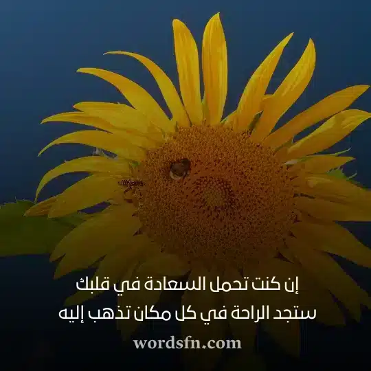 إن كنت تحمل السعادة في قلبك ستجد الراحة في كل مكان تذهب إليه - فن العبارات إن كنت تحمل السعادة في قلبك ستجد الراحة في كل مكان تذهب إليه حالات واتساب جديد
