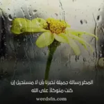 حالات مطر