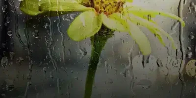 حالات مطر