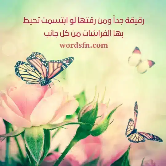 رقيقة جداً ومن رقتها لو ابتسمت تحيط بها الفراشات من كل جانب - فن العبارات رقيقة جداً ومن رقتها لو ابتسمت تحيط بها الفراشات من كل جانب حالات واتساب جديد