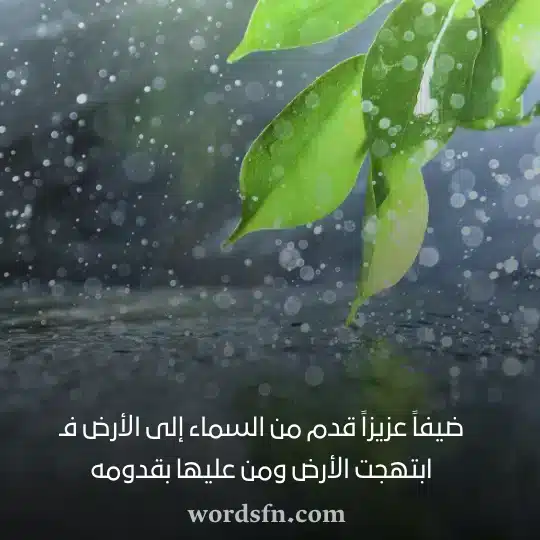 ضيفاً عزيزاً قدم من السماء إلى الأرض فـ ابتهجت الأرض ومن عليها بقدومهwebp - فن العبارات ضيفاً عزيزاً قدم من السماء إلى الأرض فـ ابتهجت الأرض ومن عليها حالات مطر