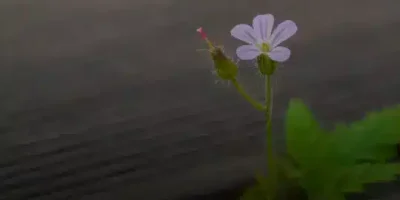 عبارات حالات واتس اب حكم قويه