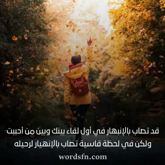 قد تصاب بالإنبهار في أول لقاء بينك وبين من أحببت ولكن في لحظة قاسية تصاب بالإنهيار لرحيلهwebp - فن العبارات قد تصاب بالإنبهار في أول لقاء بينك وبين من أحببت ولكن في لحظة قاسية تصاب بالإنهيار لرحيله حالات واتساب حزن