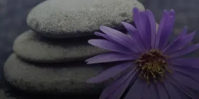 حالات واتساب منوعه