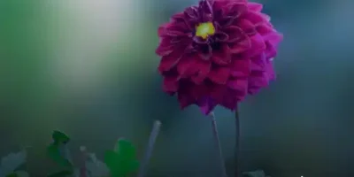 حالات واتس قصيرة