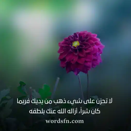 حالات واتس قصيرة