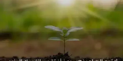 حالات واتساب صباح الخير