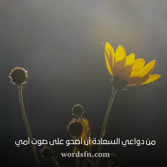 _من دواعي السعادة أن أصحو على صوت أمي - فن العبارات من دواعي السعادة أن أصحو على صوت أمي حالات واتساب صباح الخير