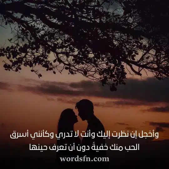 زوجي حبيبي حالات واتس