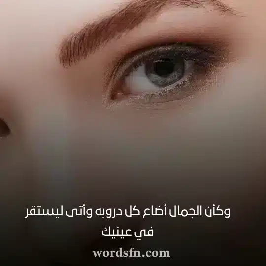 وكأن الجمال أضاع كل دروبه وأتى ليستقر في عينيك - فن العبارات وكأن الجمال أضاع كل دروبه وأتى ليستقر في عينيك حب رومانسيه قويه حالات واتس