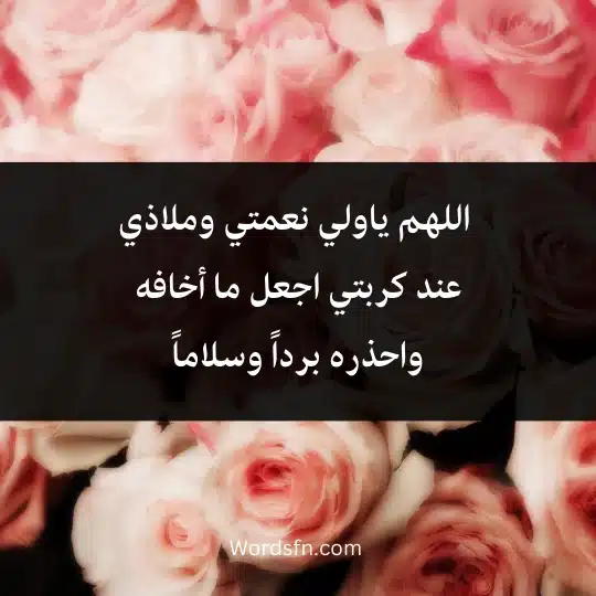  اللهم ياولي نعمتي وملاذي عند كربتي اجعل ما أخافه واحذره برداً وسلاماً