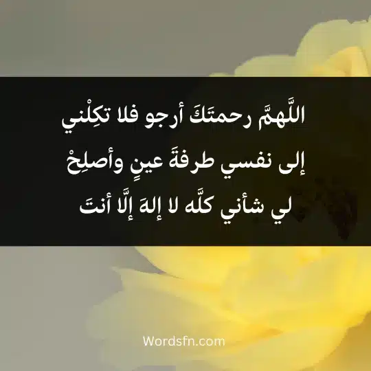  اللَّهمَّ رحمتَكَ أرجو فلا تكِلْني إلى نفسي طرفةَ عينٍ وأصلِحْ لي شأني كلَّه لا إلهَ إلَّا أنتَ