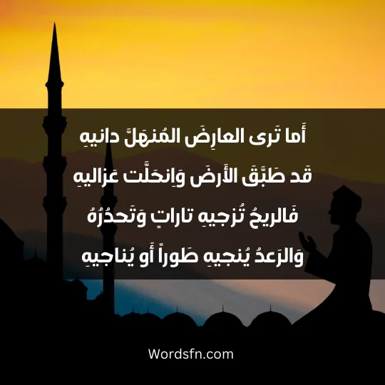 أَما تَرى العارِضَ المُنهَلَّ دانيهِ قَد طَبَّقَ الأَرضَ وَاِنحَلَّت عَزاليهِ فَالريحُ تُزجيهِ تاراتٍ وَتَحدُرُهُ وَالرَعدُ يُنجيهِ طَوراً أَو يُناجيهِ