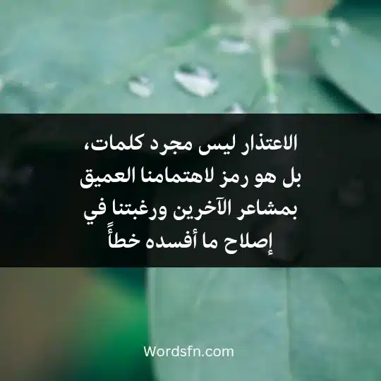 الاعتذار ليس مجرد كلمات، بل هو رمز لاهتمامنا العميق بمشاعر الآخرين ورغبتنا في إصلاح ما أفسده خطأً