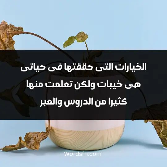 الخيارات التى حققتها فى حياتى هى خيبات ولكن تعلمت منها كثيراً الدروس والعبر