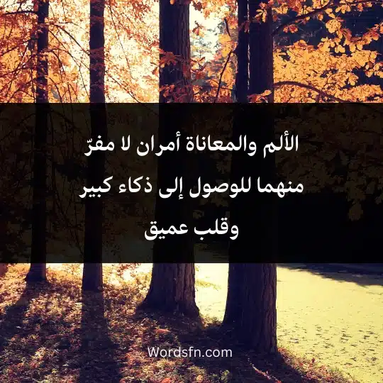 الألم والمعاناة أمران لا مفرّ منهما للوصول إلى ذكاء كبير وقلب عميق