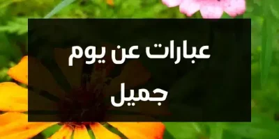 عبارات عن يوم جميل