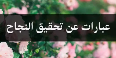 عبارات عن تحقيق النجاح