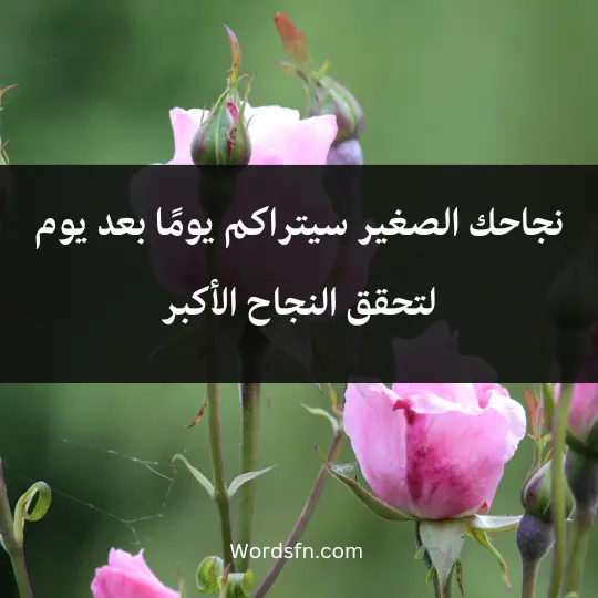 نجاحك الصغير سيتراكم يومًا بعد يوم لتحقق النجاح الأكبر