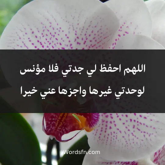 اللهم احفظ لي جدتي فلا مؤنس لوحدتي غيرها واجزها عني خيرا