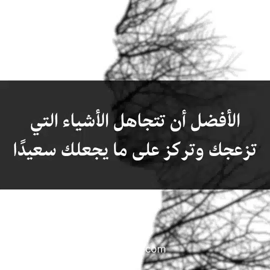 Expressions-about-ignoring2 - فن العبارات الأفضل أن تتجاهل الأشياء التي تزعجك وتركز على ما يجعلك سعيدًا.