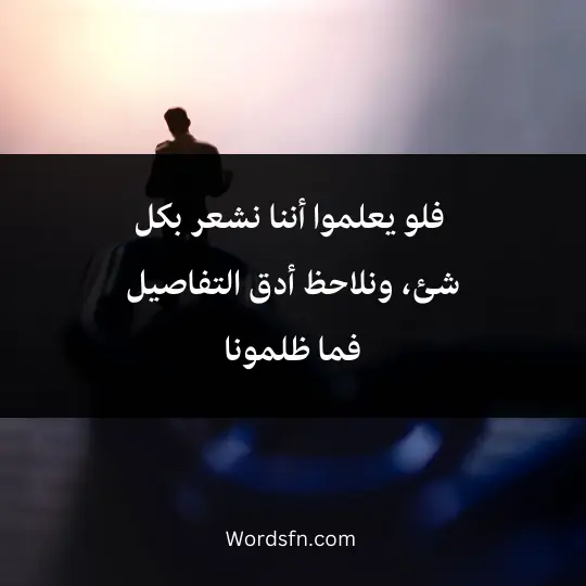 Expressions about injustice and oppression 3 - فن العبارات فلو يعلموا أننا نشعر بكل شئ، ونلاحظ أدق التفاصيل فما ظلمونا