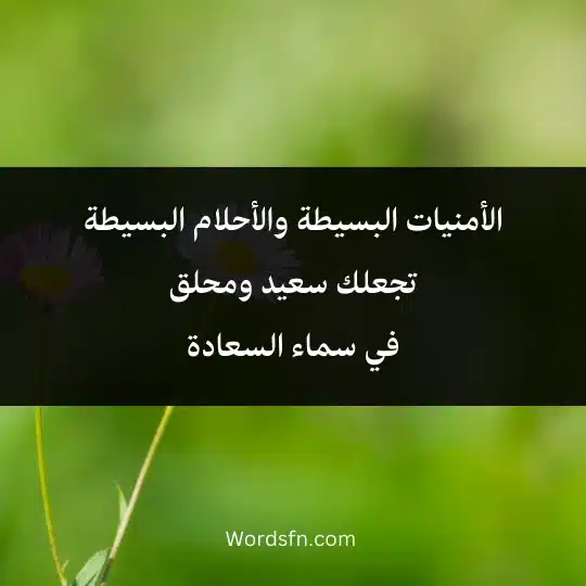 الأمنيات البسيطة والأحلام البسيطة تجعلك سعيد ومحلق في سماء السعادة