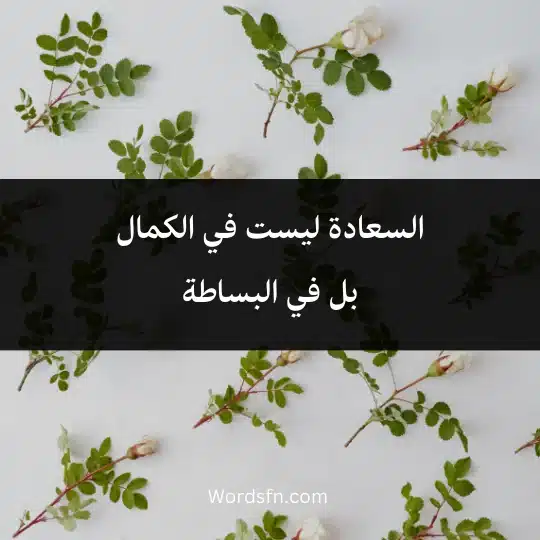 السعادة ليست في الكمال بل في البساطة