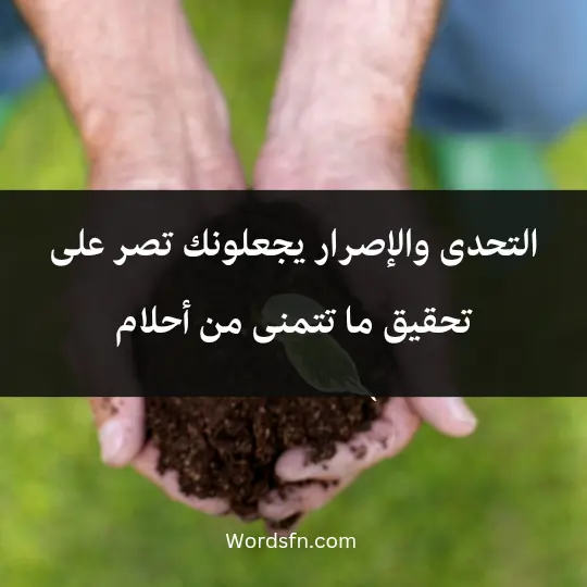 التحدى والإصرار يجعلونك تصر على تحقيق ما تتمنى من أحلام