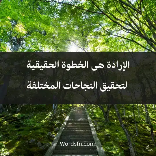 الإرادة هى الخطوة الحقيقية لتحقيق النجاحات المختلفة