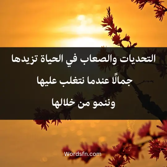 Expressions about the beauty of life 2 - فن العبارات التحديات والصعاب في الحياة تزيدها جمالًا عندما نتغلب عليها وننمو من خلالها